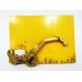 Μανέτα X-Treme Clutch (Short) Lever HONDA CBR1000RR, CBR600RR GILLES TOOLING CLS-07